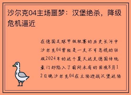 沙尔克04主场噩梦：汉堡绝杀，降级危机逼近