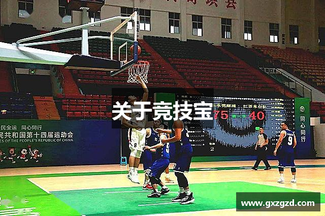 关于竞技宝
